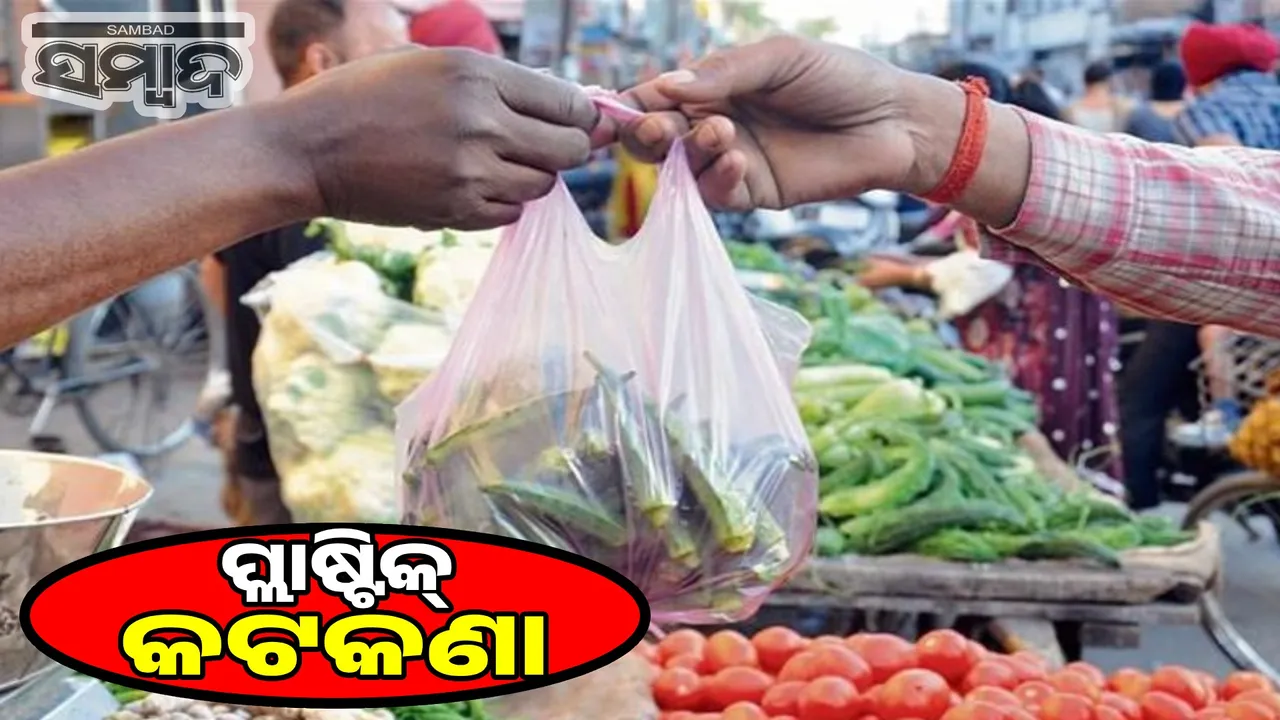  Pollution Combat action plan: BMC will target plastic production units, 60% plastic in daily dry waste Photograph: (sambad.in) 