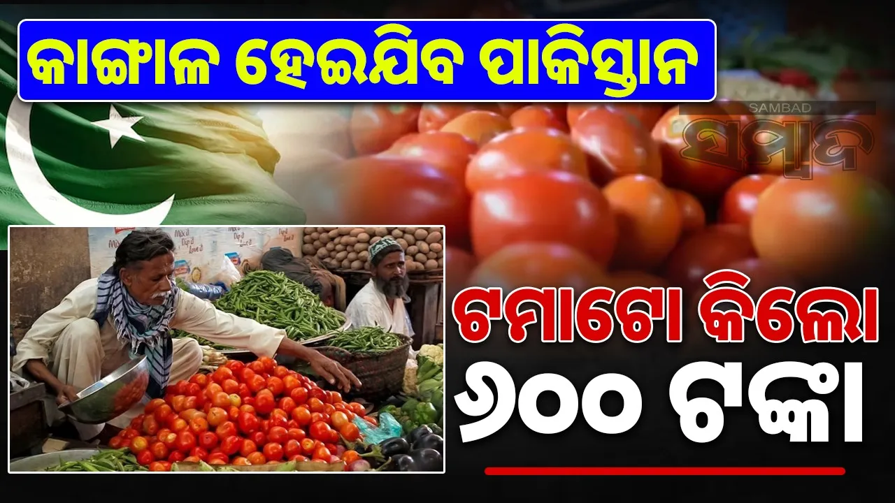  Tomatoes prices in pakistan Photograph: (sambad.in) 
