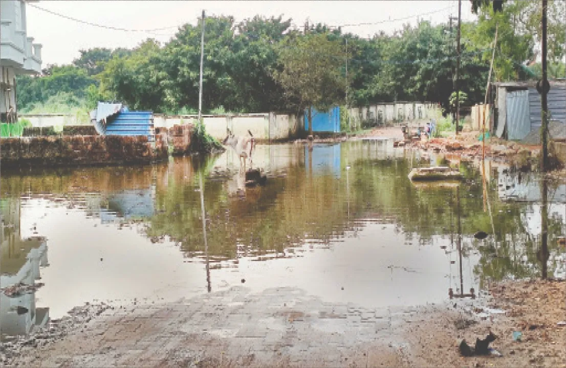  Sewage on the road: ରାସ୍ତାରେ ବର୍ଜ୍ୟଜଳ: ସାଢ଼େ ୪ମାସ ହେଲା ବାଟ ବନ୍ଦ, ହାତ ଟେକିଦେଲେ କର୍ପୋରେଟର୍‌