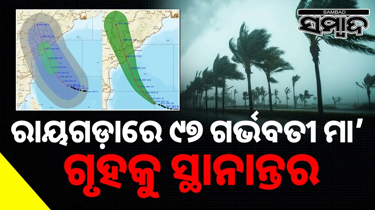  Cyclone ‘Montha’ Combat preparation: 97 pregnant mothers shifted to homes in view of Cyclone ‘Montha’ Photograph: (sambad.in) 