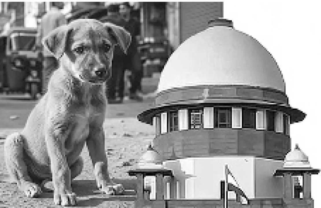  ସତ କହୁଛି: କୁକୁରମାନଙ୍କର ମଧ୍ୟ ଦିନ ଆସିବ