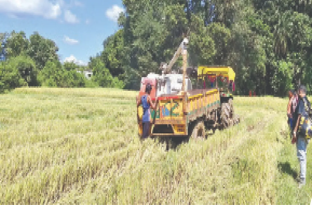  Red warning for Malkangiri: ମାଲକାନଗିରିକୁ ରେଡ୍‌ ୱାର୍ଣ୍ଣିଂ: ଚାଷୀ ଛାନିଆ, ତରବରିଆ ଭାବେ କାଟୁଛନ୍ତି ଧାନ