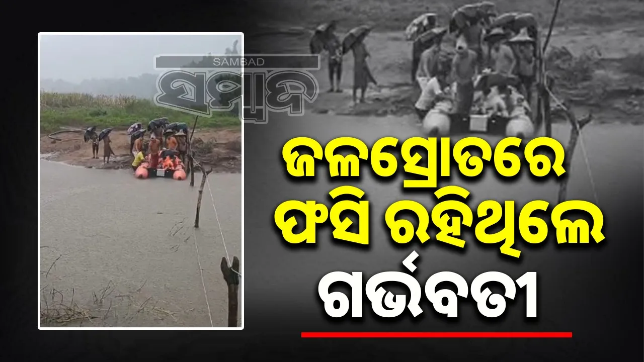  Pregnant woman stuck in water stream: Pregnant woman stuck in water stream rescued Photograph: (sambad.in) 