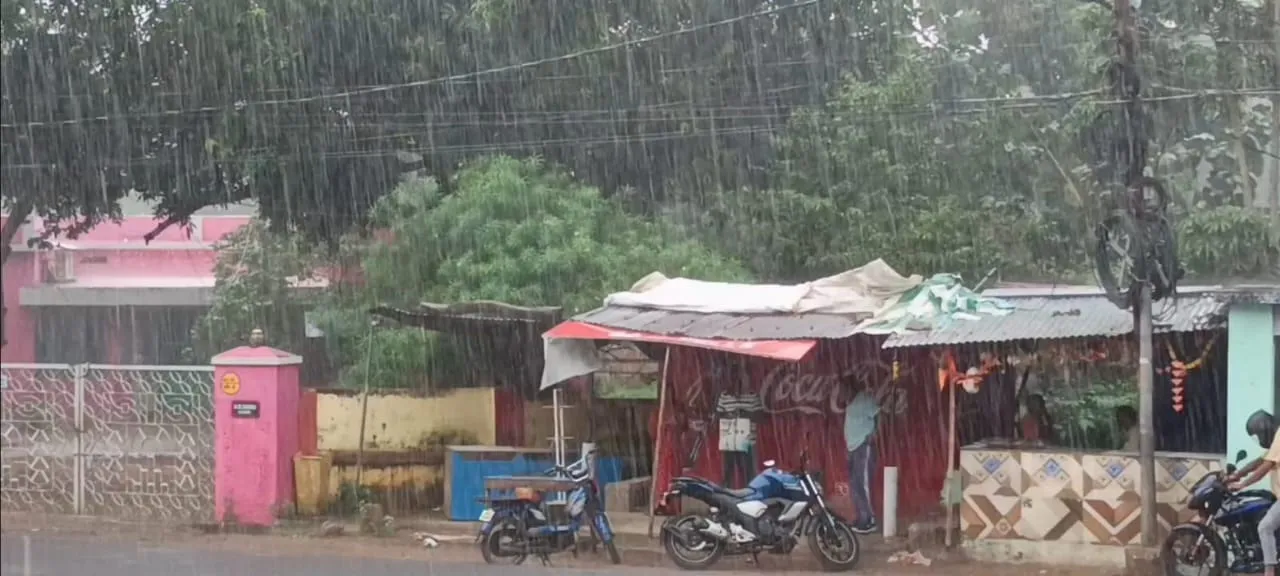  rain at gajapati Photograph: (sambad.in) 
