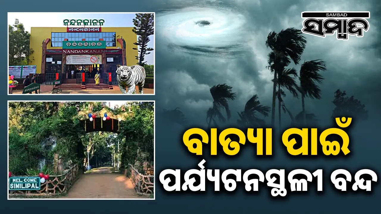  cyclone montha updates Photograph: (sambad.in) 