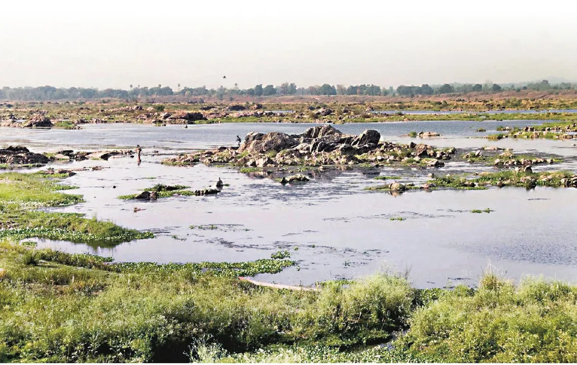  River in danger mahanandi: ବିପଦରେ ନଈ: ଛତିଶଗଡ଼ଠୁ ଶିଖିପାରିଲାନି ଓଡ଼ିଶା, ମହାସଙ୍କଟରେ ମହାନଦୀ