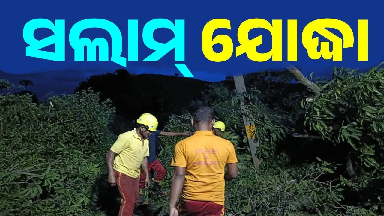  Odisha Fire and Emergency Services Photograph: (sambad.in) 