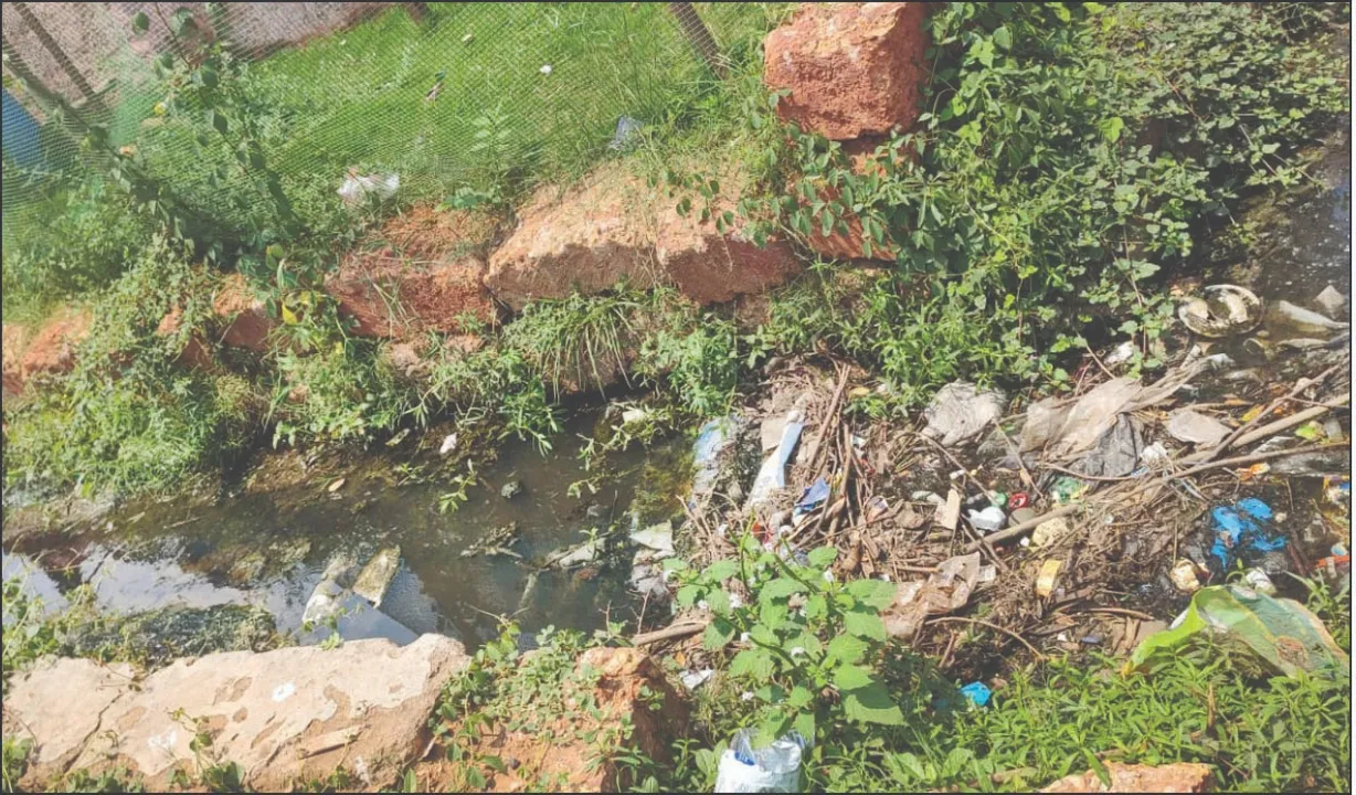  Drains are filled with garbage: ଅଧିକାଂଶ ଡ୍ରେନ୍ ଆବର୍ଜନାରେ ଭର୍ତ୍ତି: କଲବଲ କଲେଣି ମଶା, ବର୍ଷାଋତୁ ପରେ ବି ସଫା ହେଲାନି