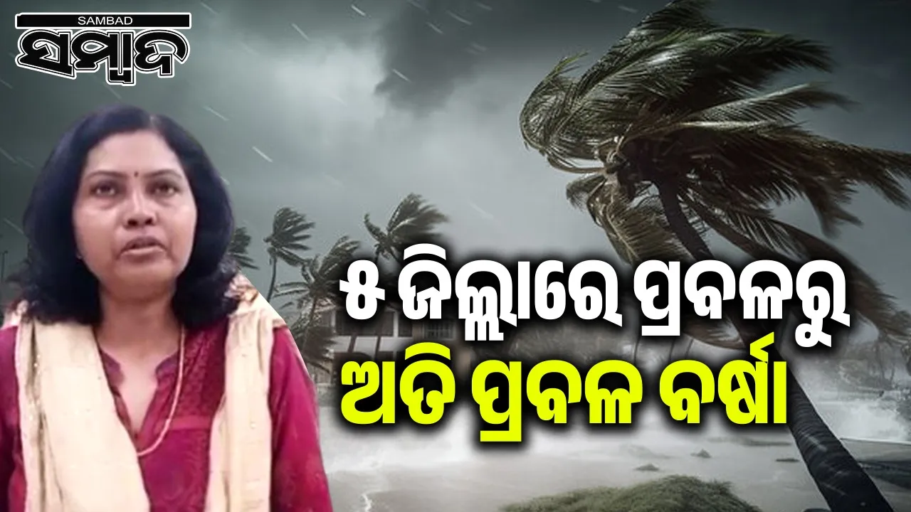  manorama mohanty on cyclone montha heavy rain Photograph: (Sambad.in 