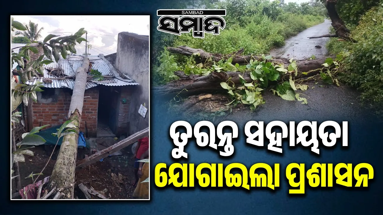  Cyclone Montha Rayagada, Administration Help Photograph: (sambad.in) 