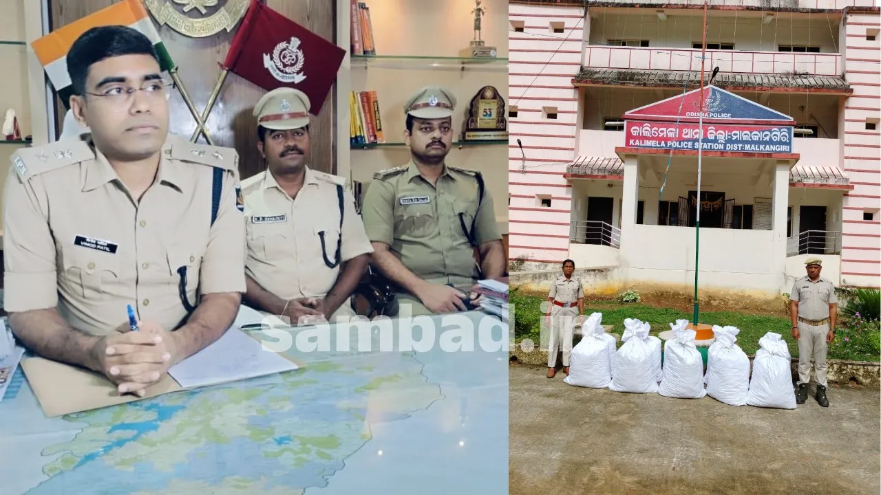 Malkangiri police seized huge quantity of ganja. Photograph: (sambad.in) 