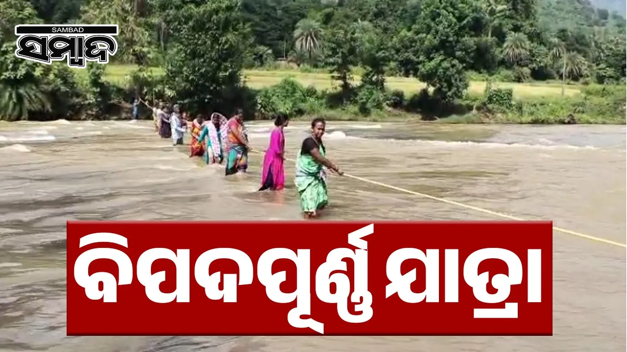  People in Gajapati district crossing river with a rope on Friday. Photograph: (sambad.in) 