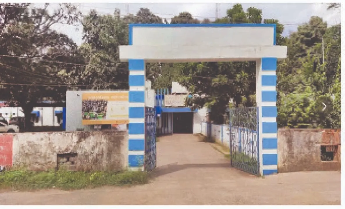  There is a bed, but no doctor: ଶଯ୍ୟା ଅଛି, ଡାକ୍ତର ନାହାନ୍ତି