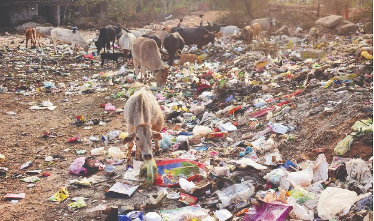  Concerns grow as plastic waste reaches 20,000 tons per year: ଚିନ୍ତା ବଢ଼ାଇଲାଣି ପ୍ଲାଷ୍ଟିକ୍‌ ବର୍ଜ୍ୟ ବର୍ଷକୁ ବାହାରୁଛି ୨୦ ହଜାର ଟନ୍‌