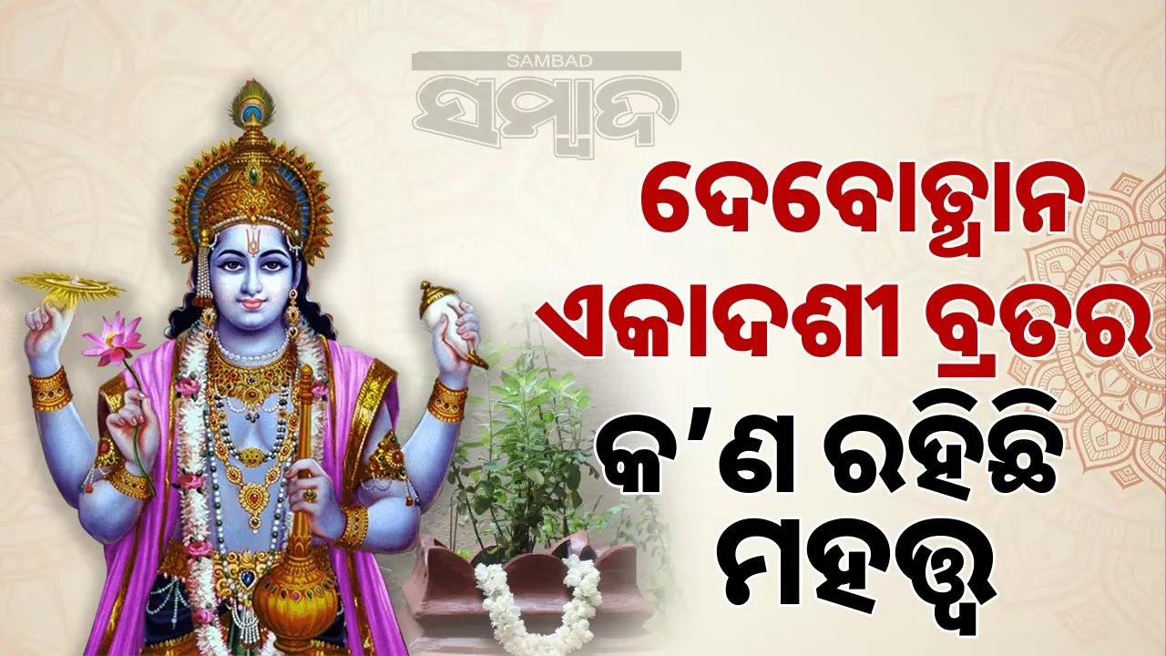  dev-uthani-ekadashi Photograph: (@sambad.in) 