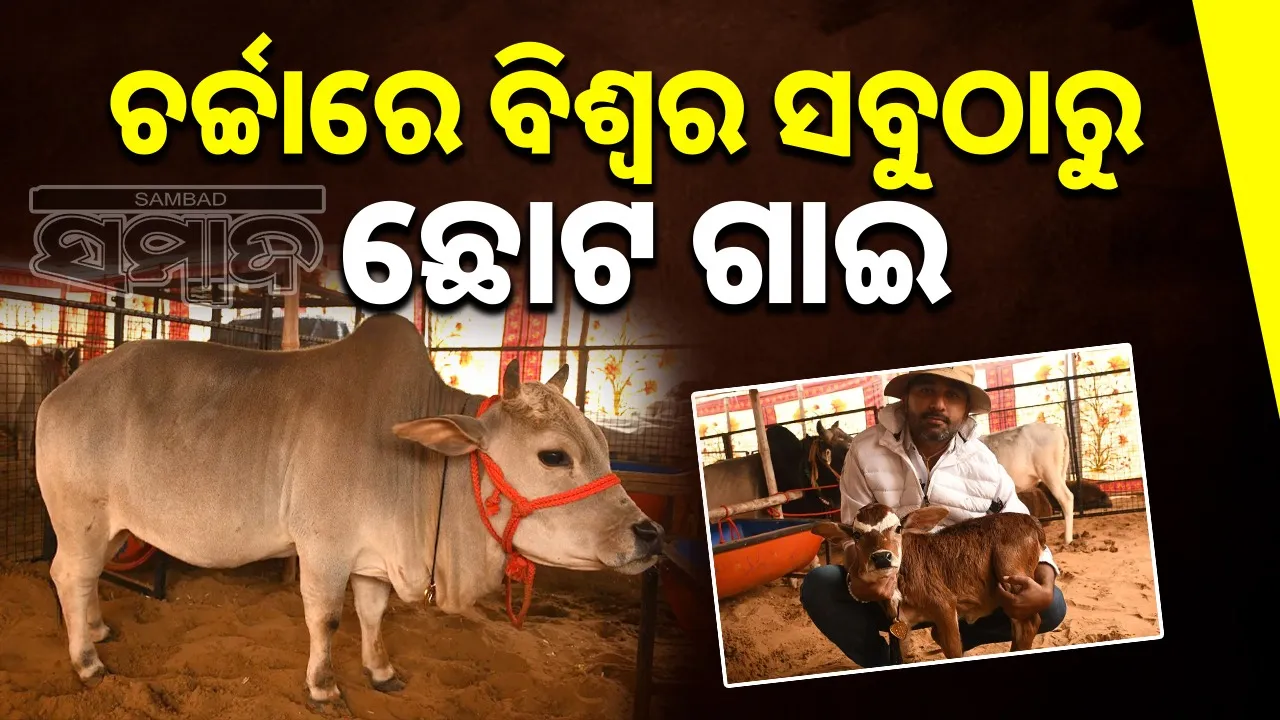  ajmer-pushkar-mela: Photograph: (@sambad.in) 