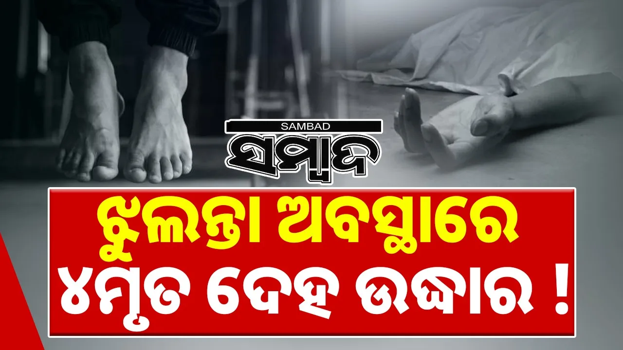  couple dies in bargarh Photograph: (sambad.in) 