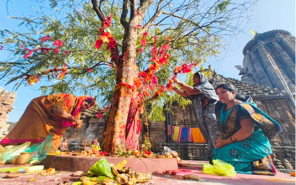  Preparations for Panchuka: ଏକାମ୍ର କ୍ଷେତ୍ରରେରେ ଚାଲିଛି ପଞ୍ଚୁକ ପ୍ରସ୍ତୁତି: ଅଁଳା ଗଛକୁ ପୂଜାର୍ଚ୍ଚନା କଲେ ଭକ୍ତ