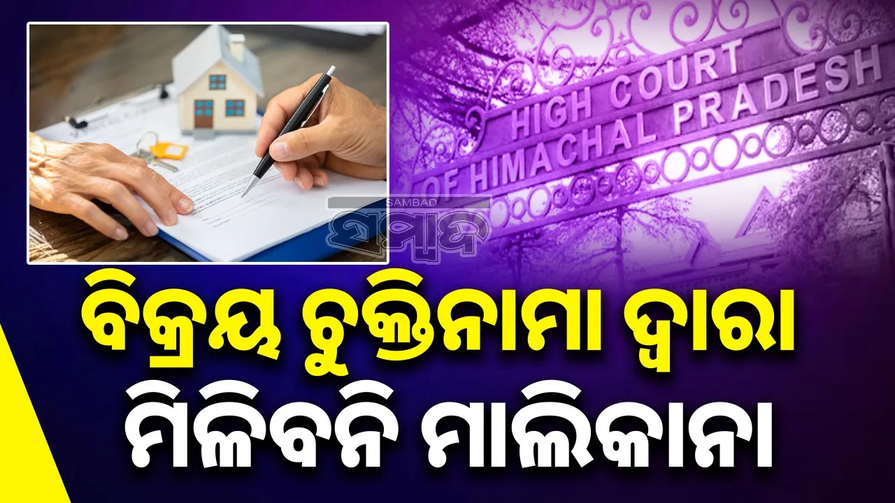  Ownership of property not in sale agreement: Himachal Pradesh High Court verdict in favour of homeowners Photograph: (sambad.in) 