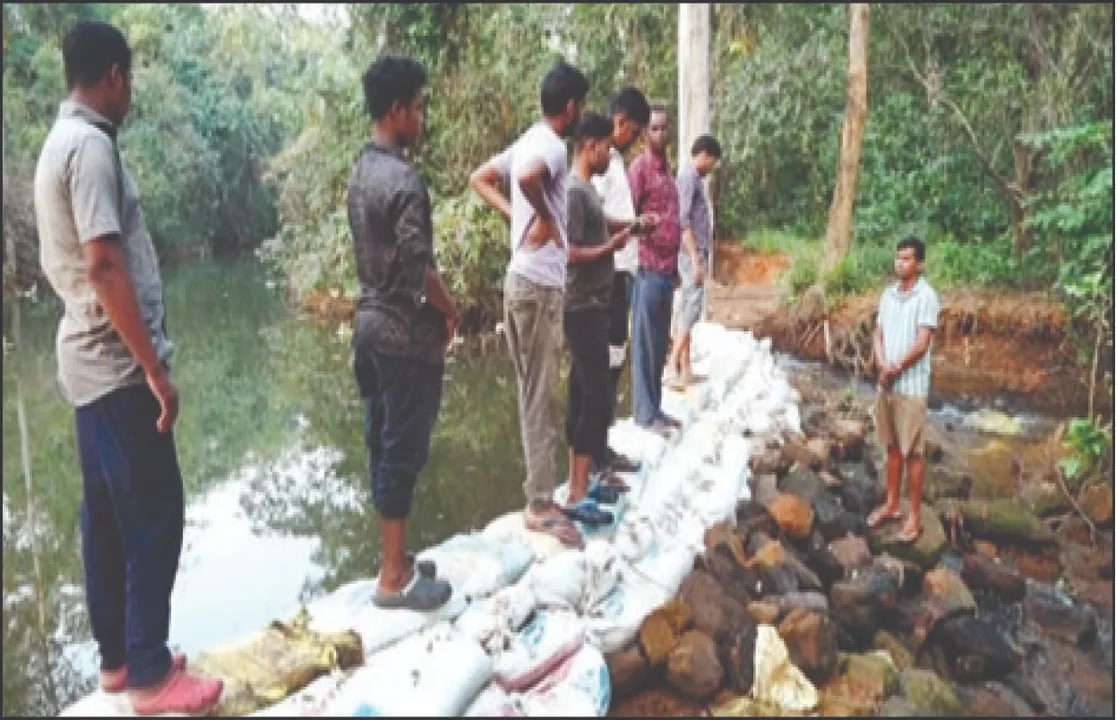  Success for villagers: ୬୫ ବର୍ଷର ସଂଘର୍ଷ ପରେ ଗ୍ରାମବାସୀଙ୍କୁ ସଫଳତା: କୁଇଲେର ନାଳକୁ ବାନ୍ଧି ଚାଷଜମିକୁ ପହଞ୍ଚାଇଲେ ପାଣି