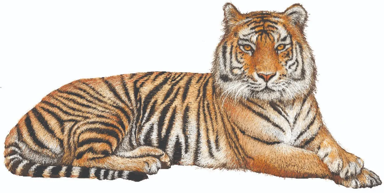  Government to count tigers: ବାଘ ଗଣିବେ ସରକାର: ‘ଏଆଇ’ ଭଳି ପ୍ରଯୁକ୍ତିବିଦ୍ୟା ପ୍ରୟୋଗ ହେବ