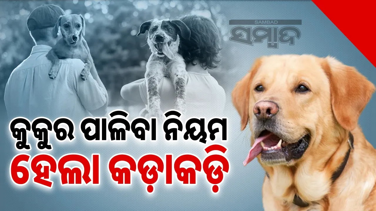  chandigarh administration issued-new-orders-dog Photograph: (@SAMBAD.IN) 