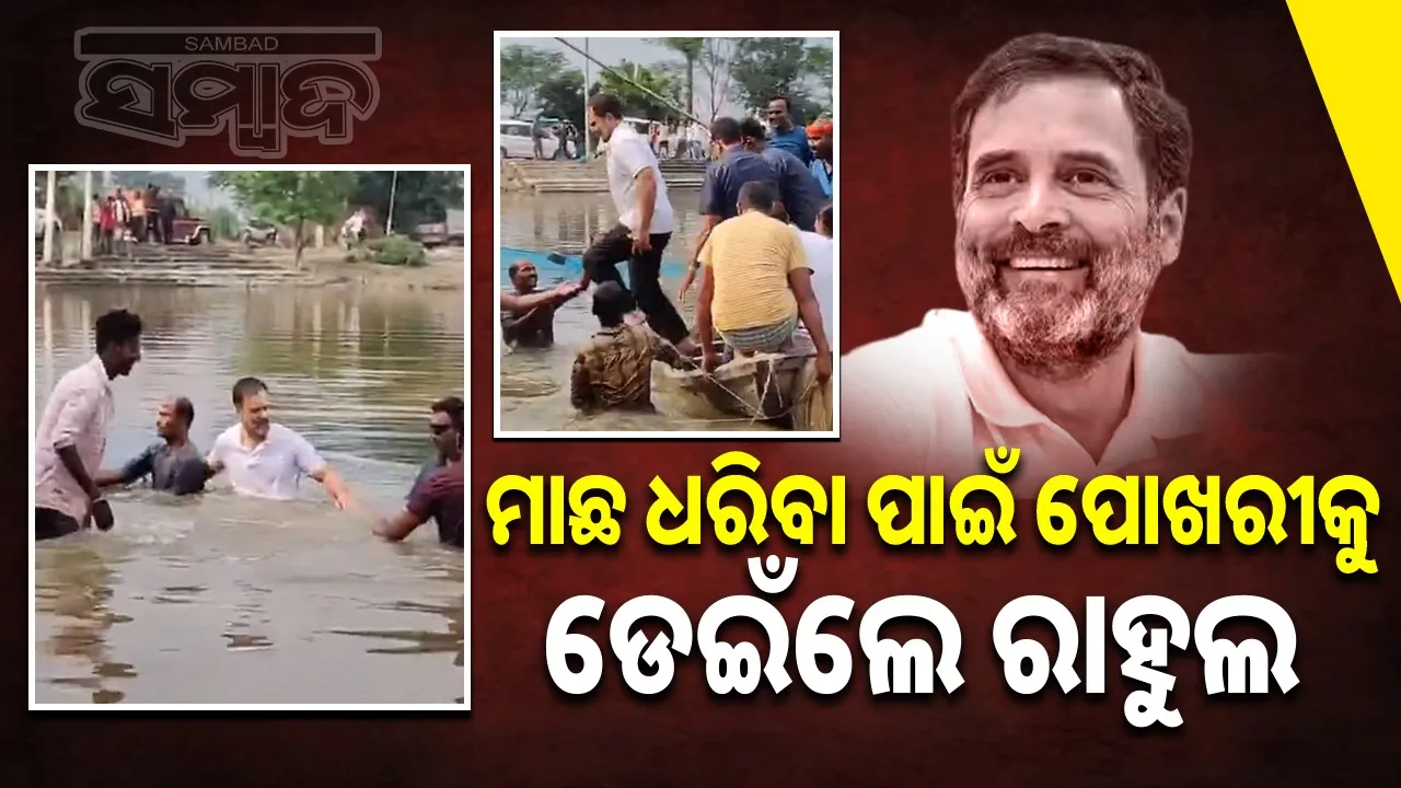  rahul gandhi jump off in pond Photograph: (@sambad.in) 
