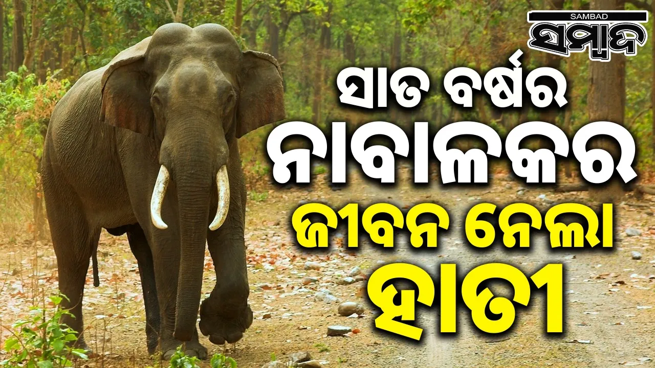  Elephant killed minor at lanjigarh Photograph: (sambad.in) 