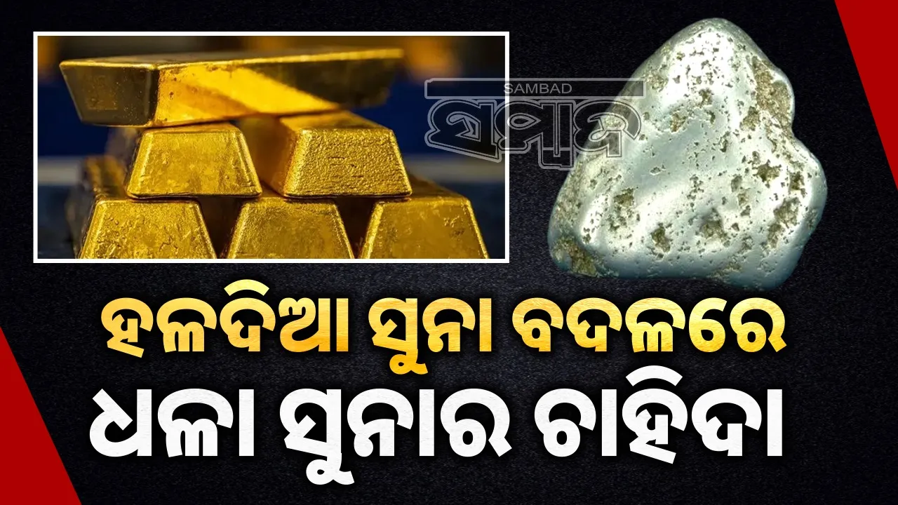  Demand for white gold is increasing: Yellow gold is lagging behind Photograph: (sambad.in) 