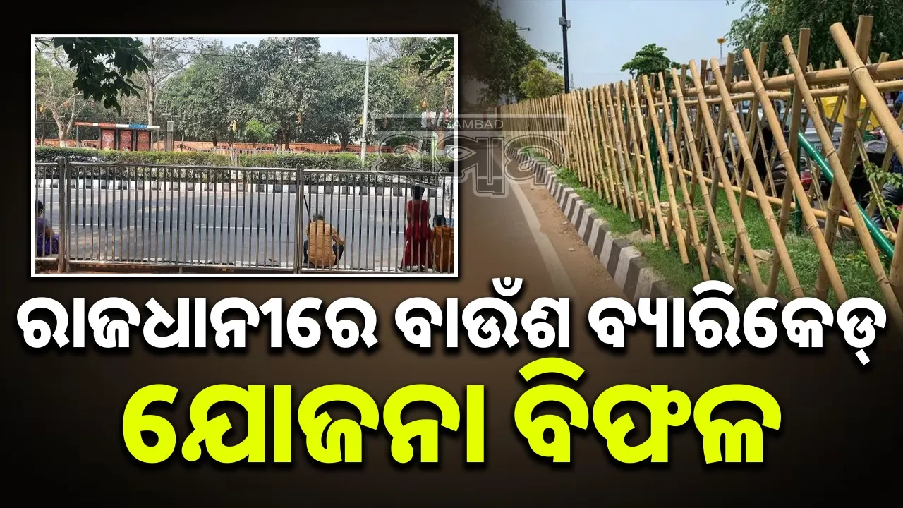  Green beautification eco-friendly initiative fails: Steel grills to replace bamboo barricades on public roads Photograph: (sambad.in) 