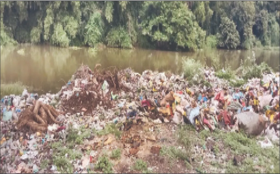  River in danger: ବିପଦରେ ନଈ: ଗୋବରୀକୁ ମାରିଦେବେ!