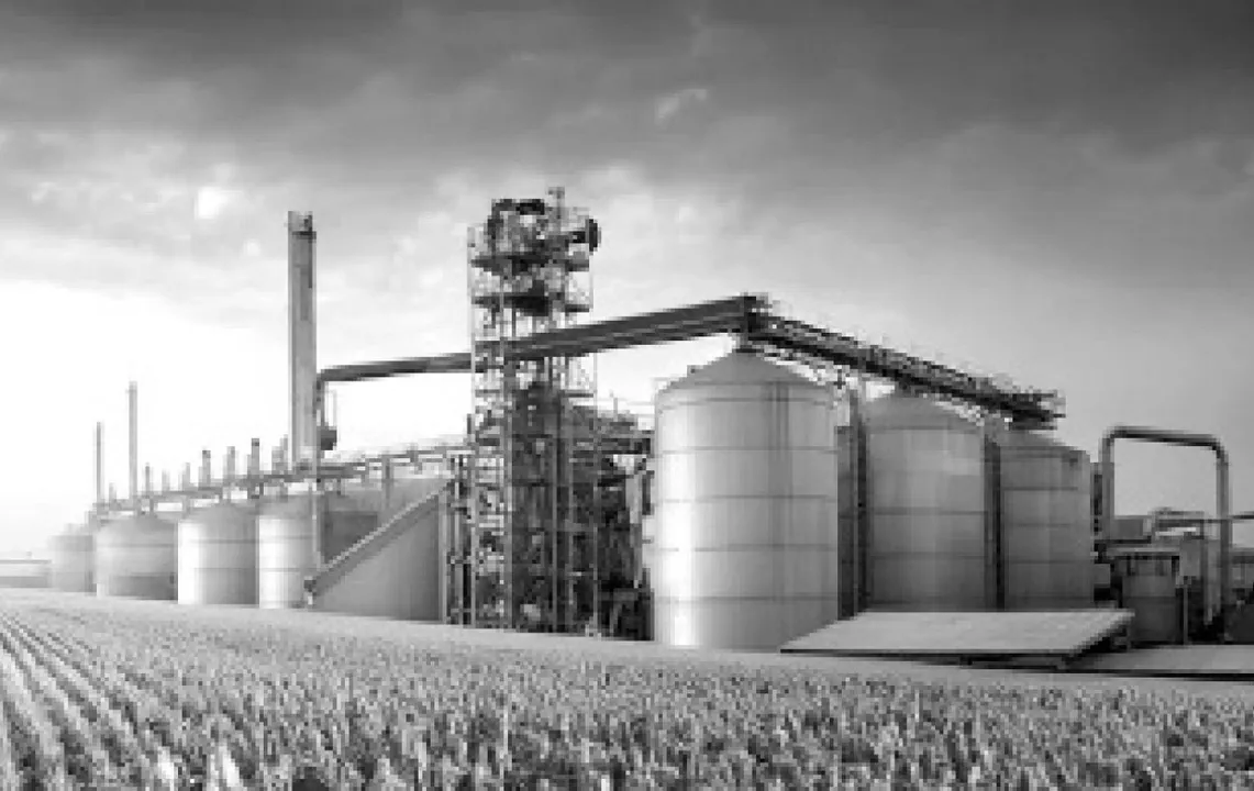  Business Idea: ବଣିଜ ବିଚାର: ବଳକା ଚାଉଳ ସମସ୍ୟାର ଚାରି ସମାଧାନ