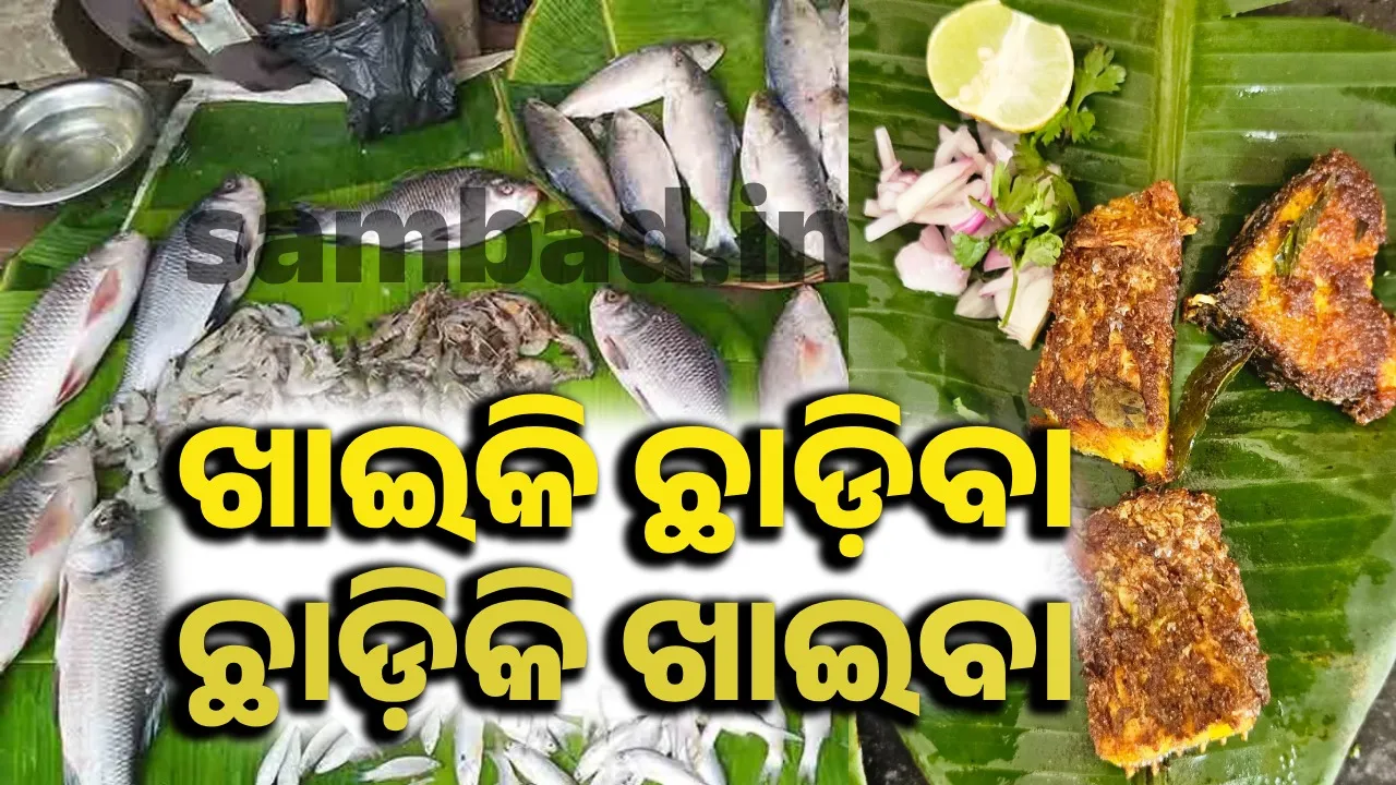  Fish market of Bhubaneswar. Photograph: (File) 