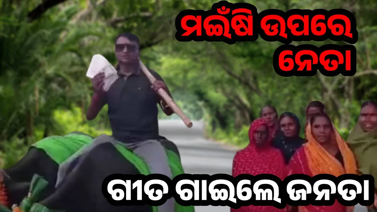  bihar election kedar yadav seating buffalo Photograph: (@sambad.in) 