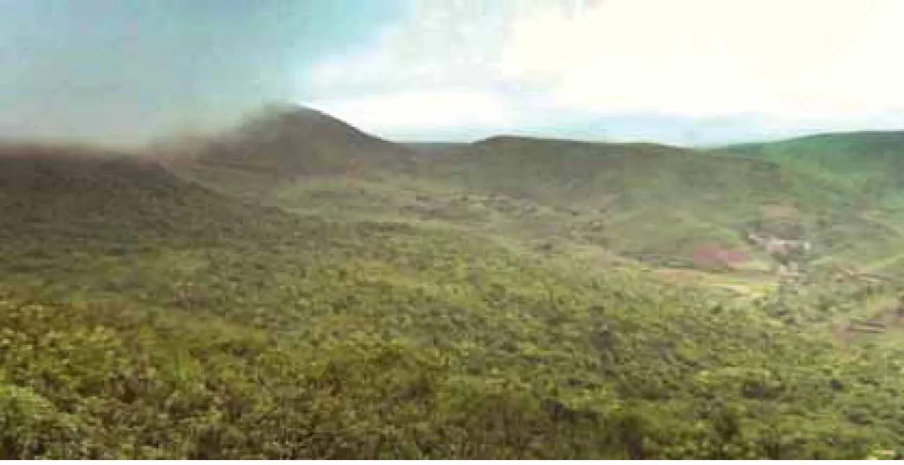  The plateau covered: ପହିଲି ଶୀତରେ ପୁଲକିତ ମାଳଭୂମି