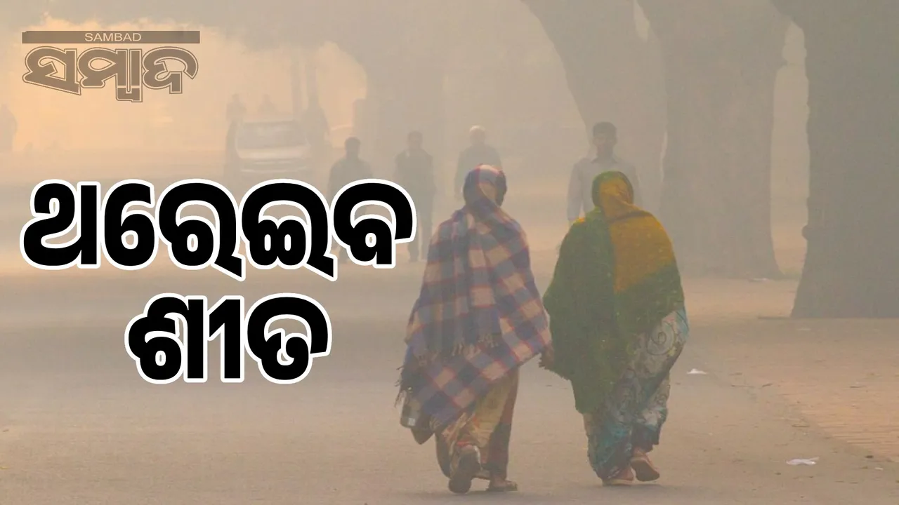  Winter ahead, night temperatures are expected to drop by 4 degrees Celsius Photograph: (sambad.in) 