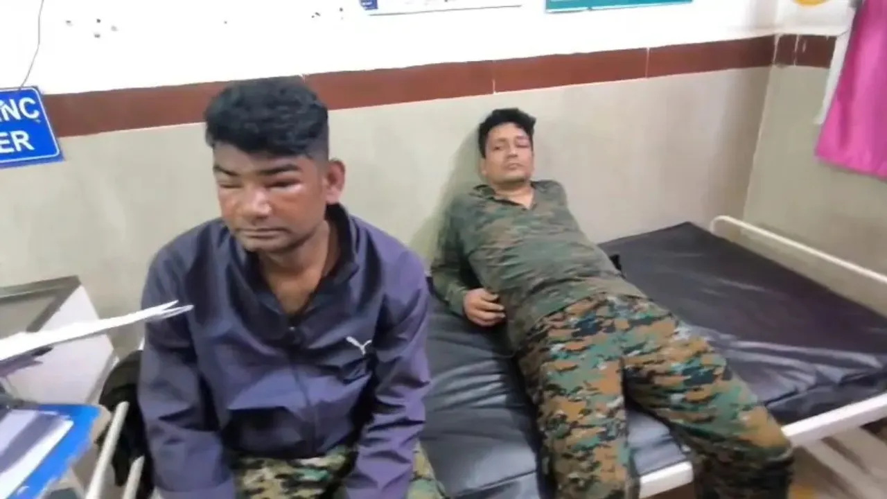  Honey Bee Attack Photograph: (Image Courtey: India TV) 