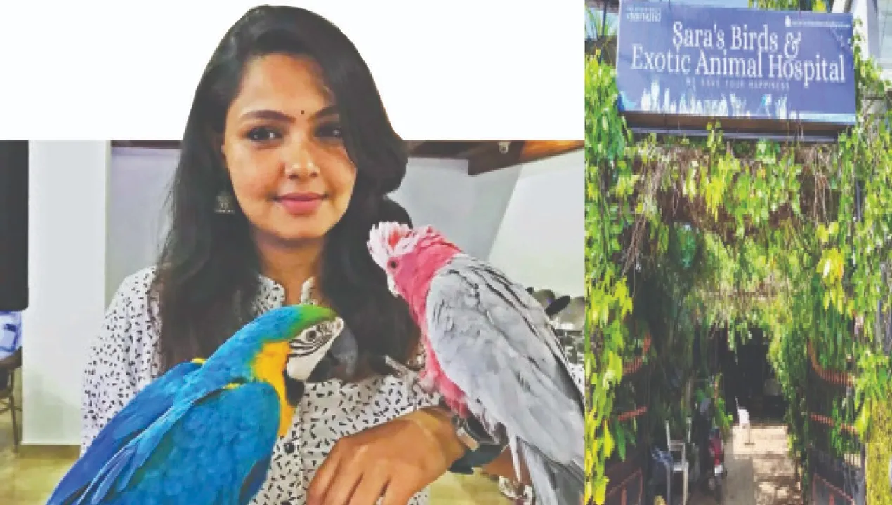  Queen's Bird ICU: ଚଳନ୍ତିକା: ରାଣୀଙ୍କ ପକ୍ଷୀ ଆଇସିୟୁ