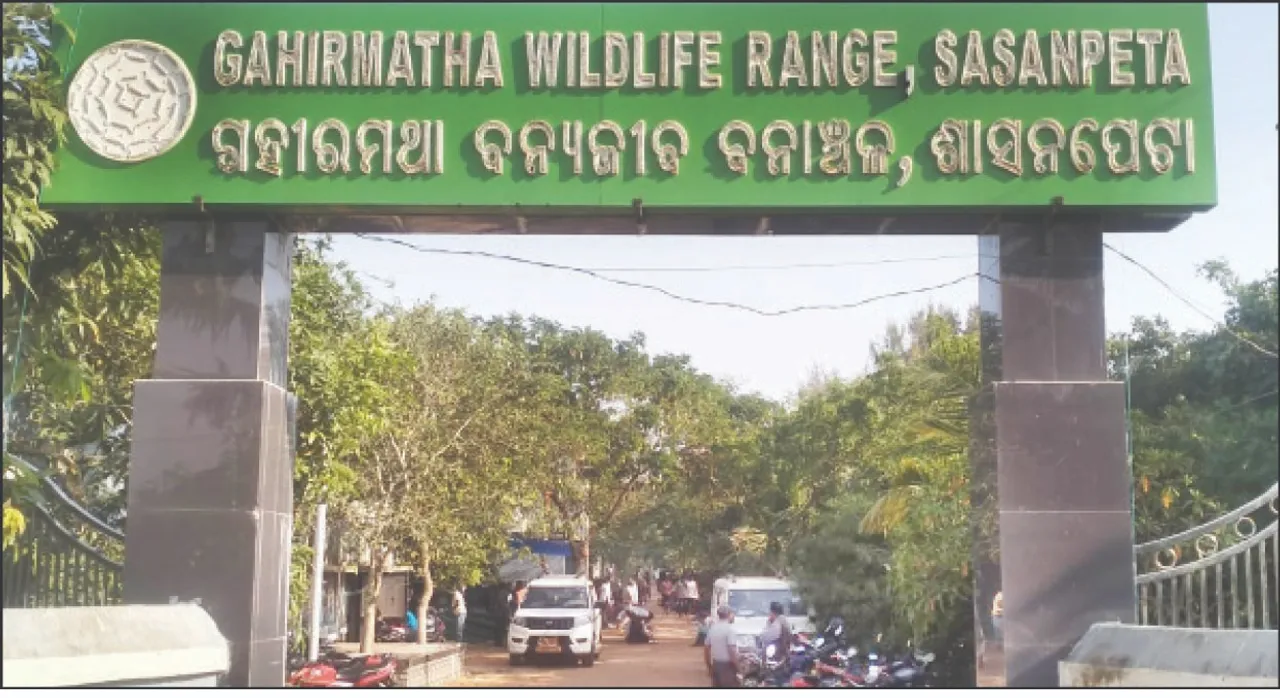  A revenue village without humans: ମଣିଷ ନଥିବା ରାଜସ୍ୱ ଗାଁ: କେବଳ ଜଙ୍ଗଲ ଓ ସମୁଦ୍ର ଅଛି ରହୁଛନ୍ତି ଜୀବଜନ୍ତୁ, ଜଳଜୀବ