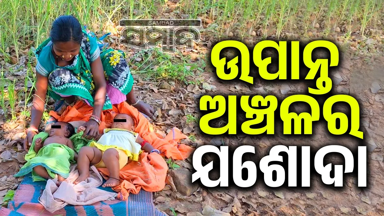 Woman care babies in Baipariguda. Photograph: (sambad.in) 