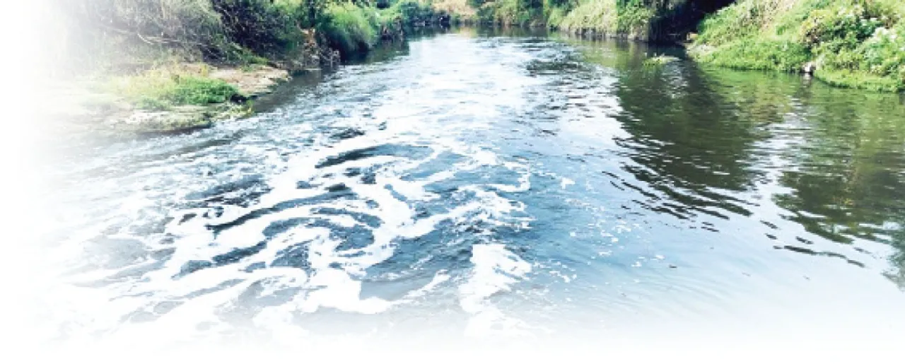  River in danger:  ବିପଦରେ ନଈ: ଦୟା ଲୋଡ଼ୁଛି ଦୟାନଦୀ, ରାଜଧାନୀର ବର୍ଜ୍ୟଜଳରେ ବିଷାକ୍ତ ହେଉଛି ନଦୀ