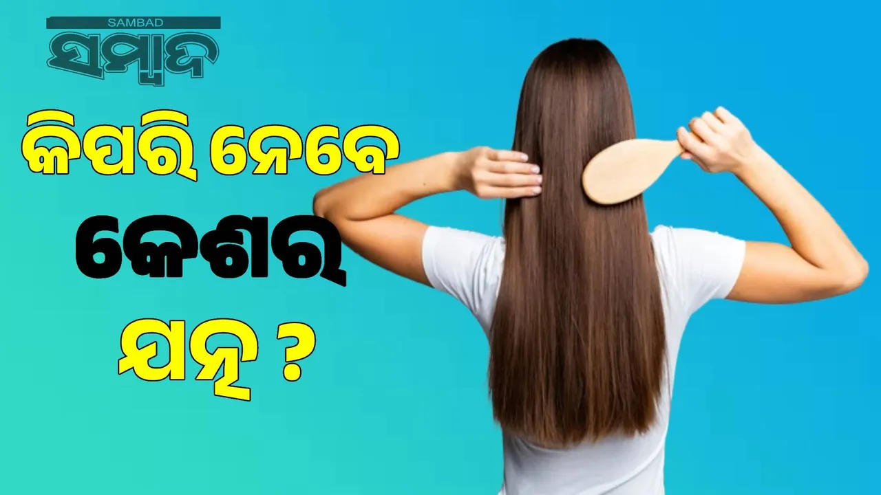  How to stop hair loss? Photograph: (sambad.in) 