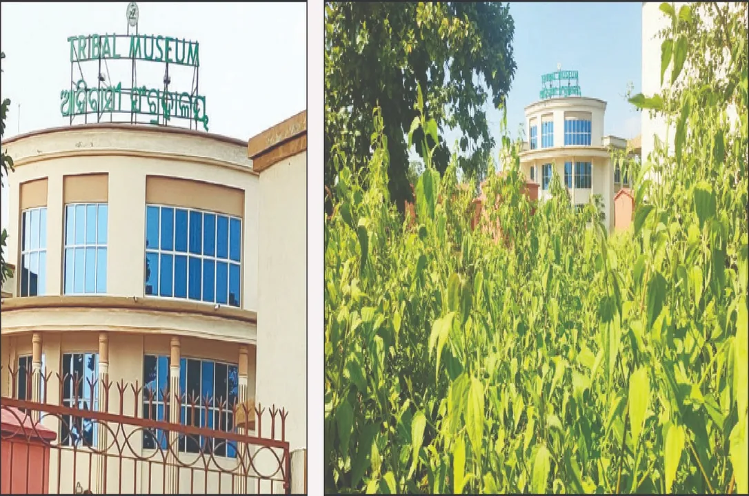  ଉଦ୍‌ଘାଟନ ପୂର୍ବରୁ ଉଜୁଡ଼ିଲାଣି ଆଦିବାସୀ ସଂଗ୍ରହାଳୟ: ୨କୋଟି ଟଙ୍କାରେ ୫ବର୍ଷ ତଳେ ହୋଇଥିଲା ନିର୍ମାଣ