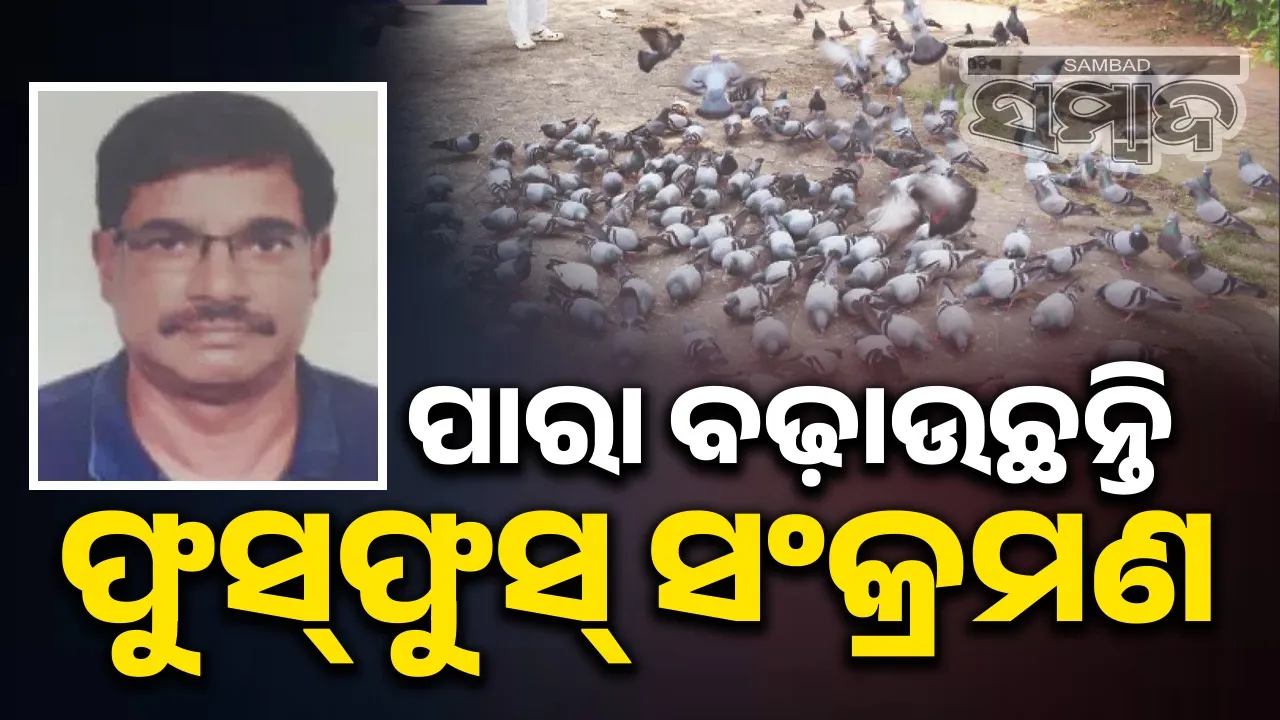  para is increasing the risk of pneumonia 