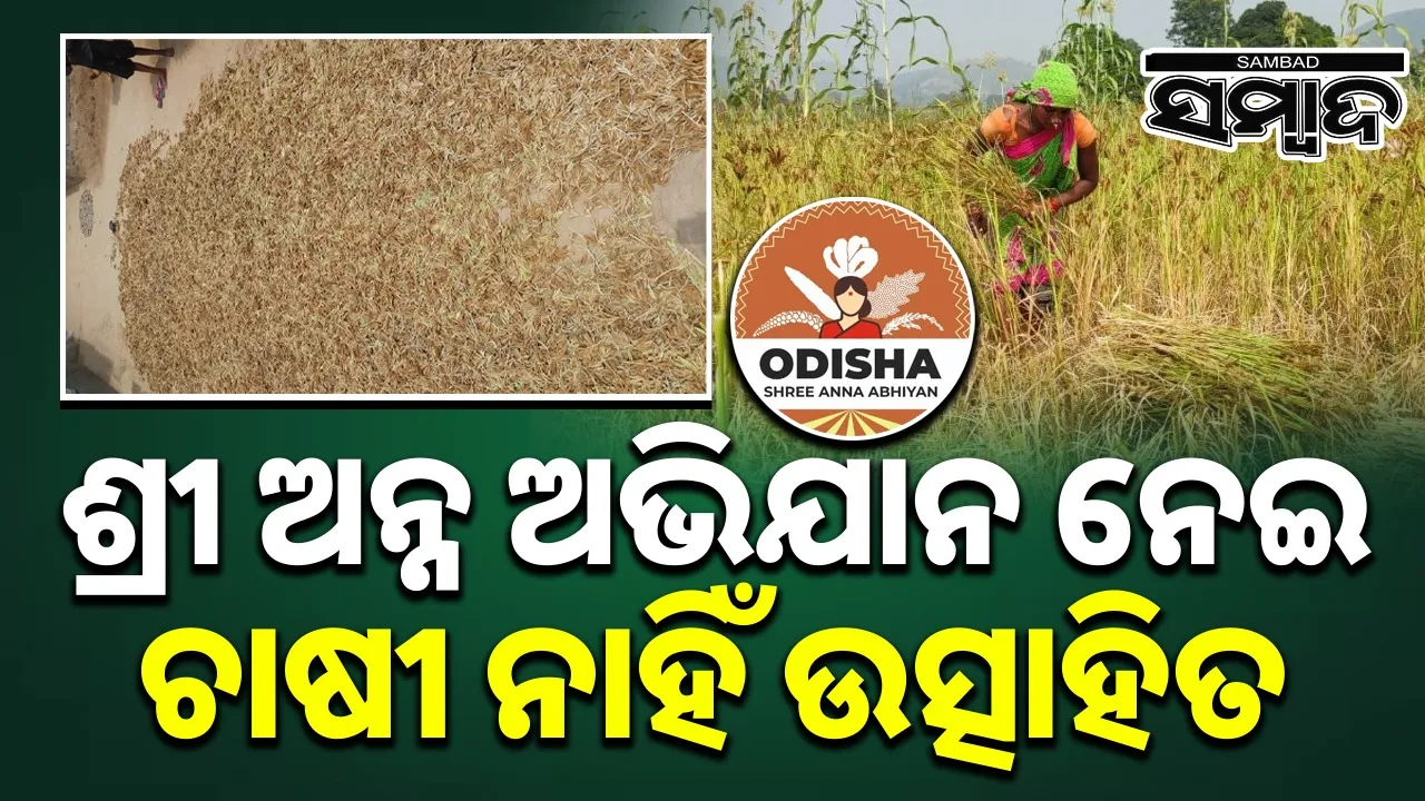  Shree Anna Abhiyan in Odisha. Photograph: (sambad.in) 