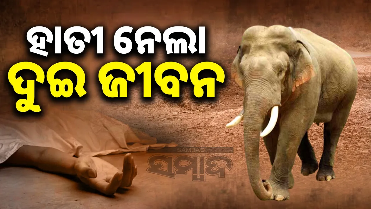  2 persons died by attack of elephant at kuchinda Photograph: (sambad.in) 