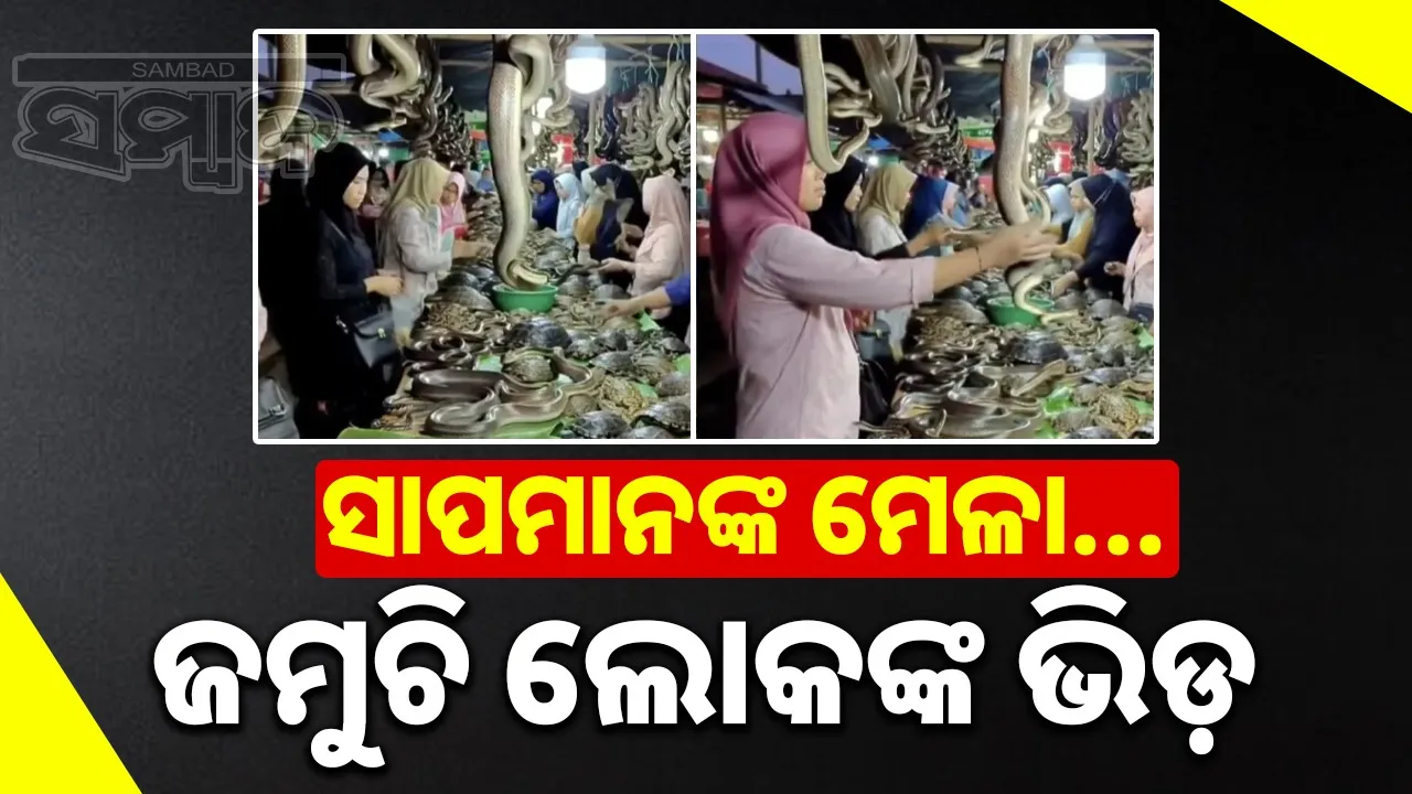  snake-market Photograph: (@sambad.in) 