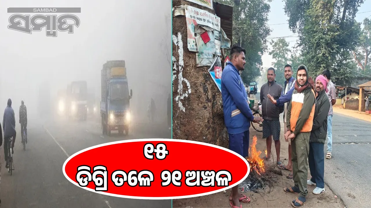  Cold wave in the state, Daringwadi temperature 8.5 degree Photograph: (sambad.in) 