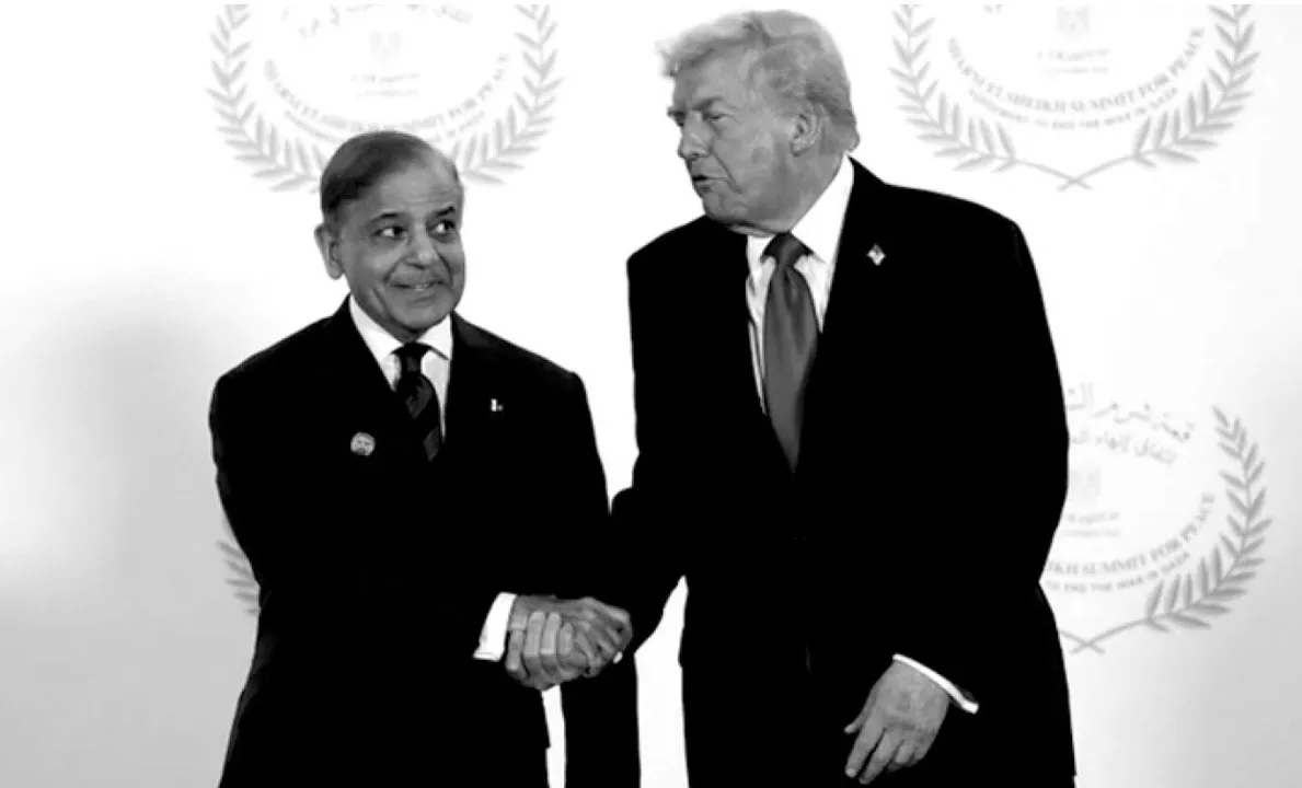 Singer Trump: ଗାୟକ ଟ୍ରଂପ ଓ ପାଳିଆ ସରିଫ