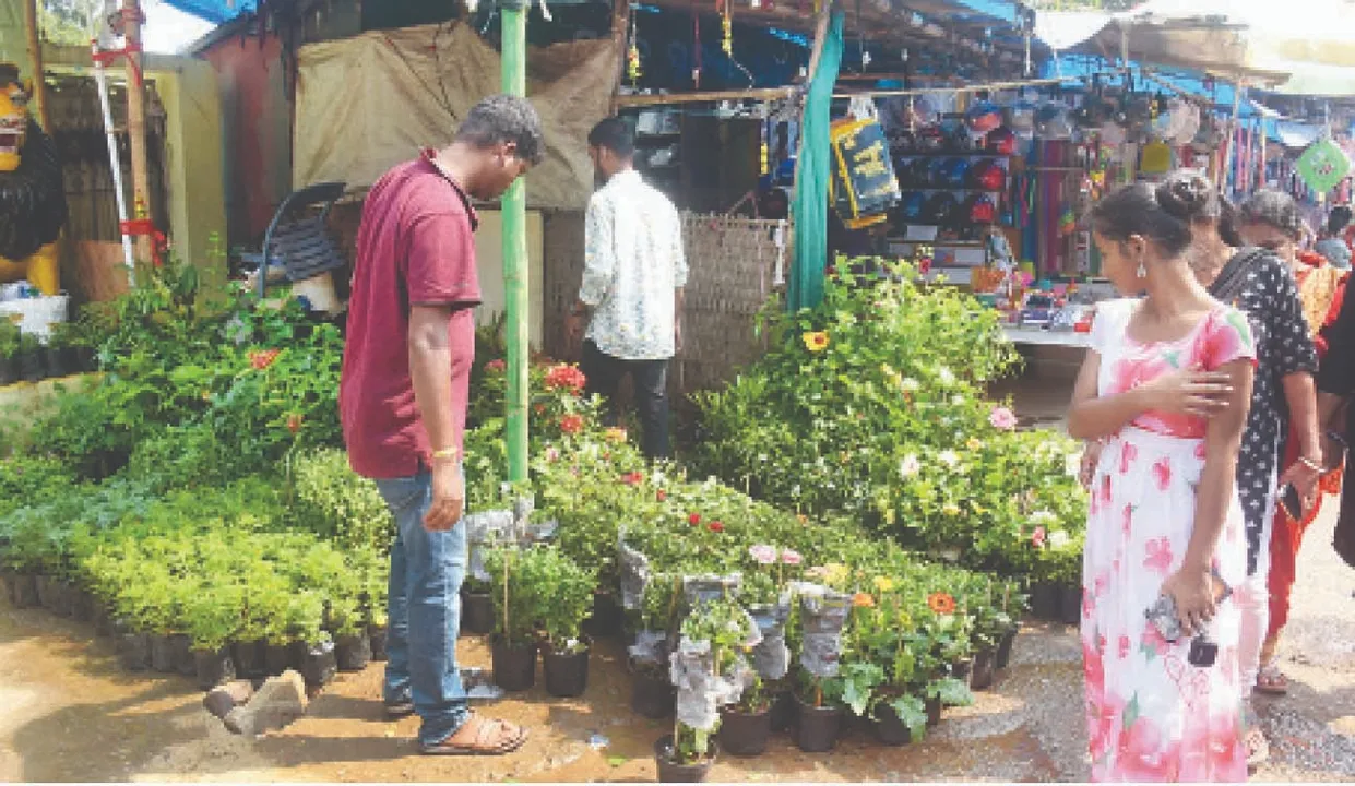  I will bloom in your yard: ଫୁଲ ହୋଇ ତୁମ ଅଗଣାରେ ଫୁଟିବି...